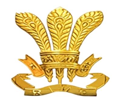 RIMC(Rashtriya Indian Military College)